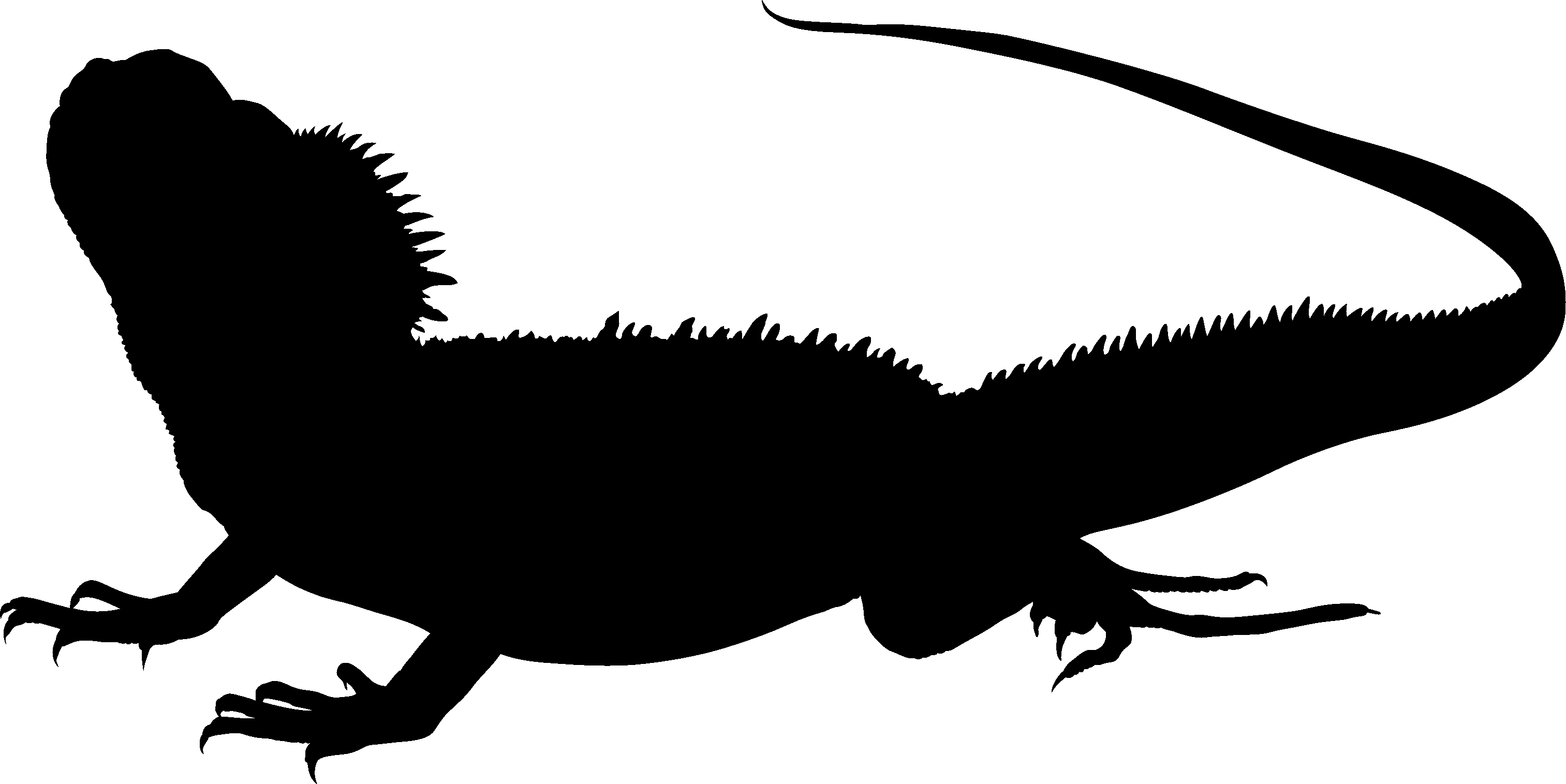 Agamky logo
